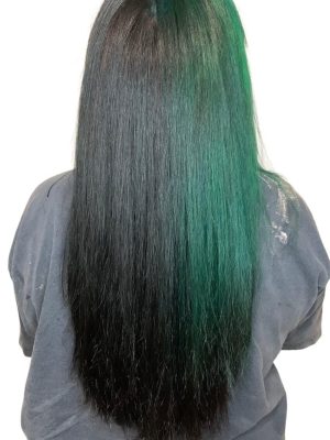 Split Die Hair Color With Green and Black - CA Colors Salon & Hair Extensions in Pittsburgh, PA